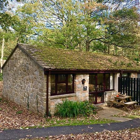 Cosy Woodland Home Uny Lelant Eksteriør billede