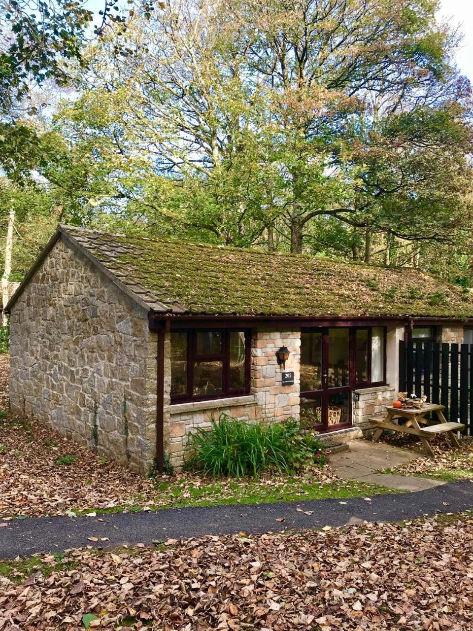 Cosy Woodland Home Uny Lelant Eksteriør billede