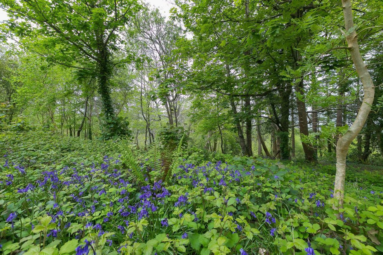 Cosy Woodland Home Uny Lelant Eksteriør billede