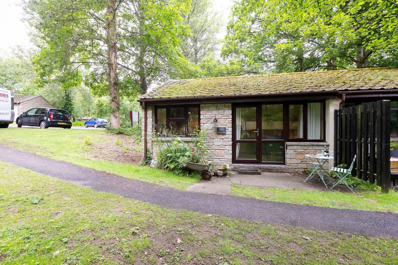 Cosy Woodland Home Uny Lelant Eksteriør billede